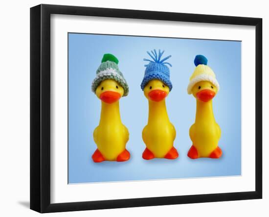 Ducklings in Woolly Hats-null-Framed Photographic Print