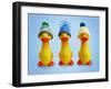 Ducklings in Woolly Hats-null-Framed Photographic Print