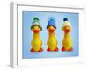 Ducklings in Woolly Hats-null-Framed Photographic Print