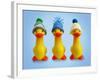 Ducklings in Woolly Hats-null-Framed Photographic Print