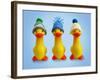 Ducklings in Woolly Hats-null-Framed Photographic Print