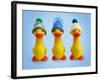 Ducklings in Woolly Hats-null-Framed Photographic Print