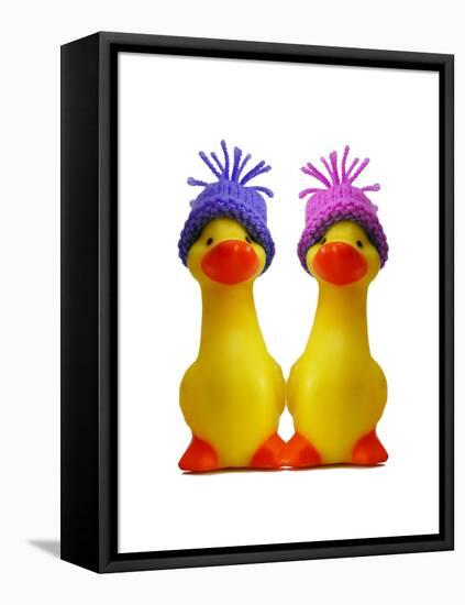 Ducklings in Wooly Hats-null-Framed Stretched Canvas