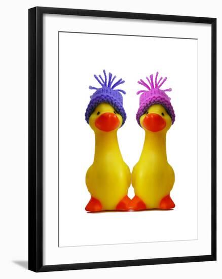 Ducklings in Wooly Hats-null-Framed Photographic Print