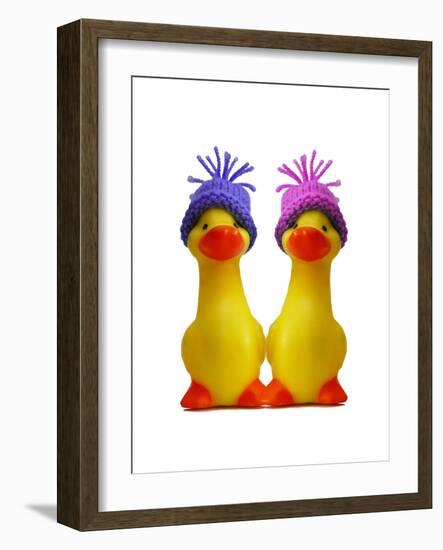 Ducklings in Wooly Hats-null-Framed Photographic Print