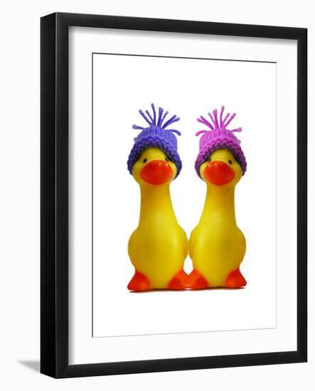 Ducklings in Wooly Hats-null-Framed Photographic Print