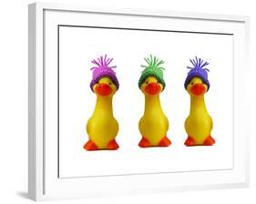 Ducklings in Wooly Hats-null-Framed Photographic Print