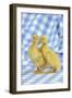 Ducklings Standing Together-null-Framed Photographic Print