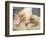 Ducklings-Aso Fujita-Framed Photographic Print