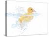 Ducks 001-Andrea Mascitti-Stretched Canvas