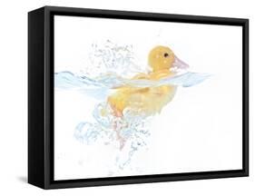 Ducks 001-Andrea Mascitti-Framed Stretched Canvas