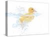 Ducks 001-Andrea Mascitti-Stretched Canvas