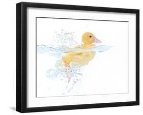 Ducks 001-Andrea Mascitti-Framed Photographic Print