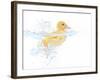 Ducks 001-Andrea Mascitti-Framed Photographic Print