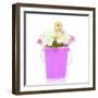 Ducks 004-Andrea Mascitti-Framed Photographic Print