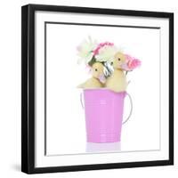 Ducks 005-Andrea Mascitti-Framed Photographic Print