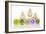 Ducks 007-Andrea Mascitti-Framed Photographic Print