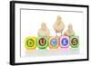 Ducks 007-Andrea Mascitti-Framed Photographic Print