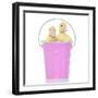 Ducks 012-Andrea Mascitti-Framed Photographic Print