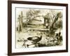 Ducks 19th Century-null-Framed Giclee Print