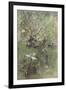 Ducks Among Willows, C. 1880-1900-Willem Maris-Framed Art Print