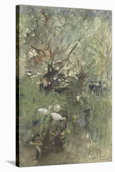 Ducks Among Willows, C. 1880-1900-Willem Maris-Stretched Canvas