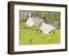 Ducks and Ducklings-Linda Benton-Framed Premium Giclee Print