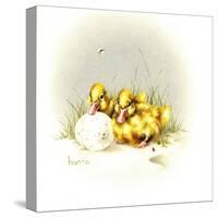 Ducks and Egg-Peggy Harris-Stretched Canvas