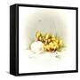 Ducks and Egg-Peggy Harris-Framed Stretched Canvas