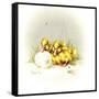 Ducks and Egg-Peggy Harris-Framed Stretched Canvas