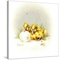 Ducks and Egg-Peggy Harris-Stretched Canvas