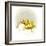 Ducks and Egg-Peggy Harris-Framed Giclee Print