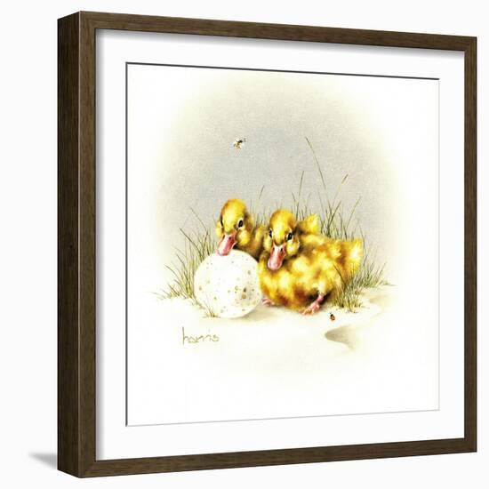 Ducks and Egg-Peggy Harris-Framed Giclee Print