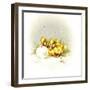 Ducks and Egg-Peggy Harris-Framed Giclee Print