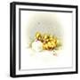 Ducks and Egg-Peggy Harris-Framed Giclee Print