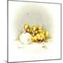 Ducks and Egg-Peggy Harris-Mounted Giclee Print