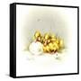 Ducks and Egg-Peggy Harris-Framed Stretched Canvas