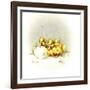 Ducks and Egg-Peggy Harris-Framed Giclee Print