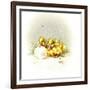 Ducks and Egg-Peggy Harris-Framed Giclee Print