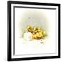 Ducks and Egg-Peggy Harris-Framed Giclee Print