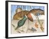 Ducks and Fish-null-Framed Art Print