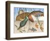 Ducks and Fish-null-Framed Art Print