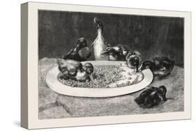 Ducks and Green Peas, 1876 Picture-John Charles Dollman-Stretched Canvas