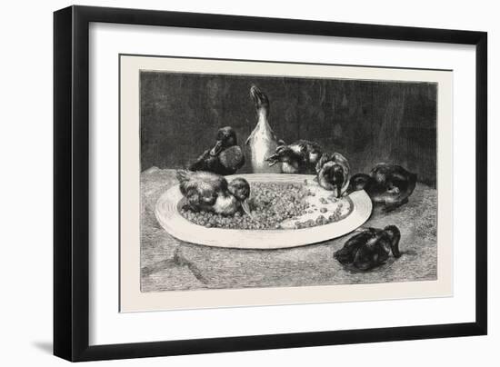 Ducks and Green Peas, 1876 Picture-John Charles Dollman-Framed Giclee Print