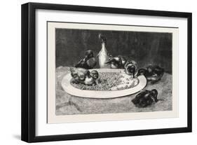 Ducks and Green Peas, 1876 Picture-John Charles Dollman-Framed Giclee Print