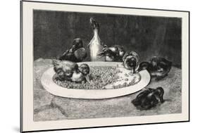 Ducks and Green Peas, 1876 Picture-John Charles Dollman-Mounted Giclee Print