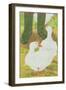 Ducks and Green Wellies-Linda Benton-Framed Giclee Print