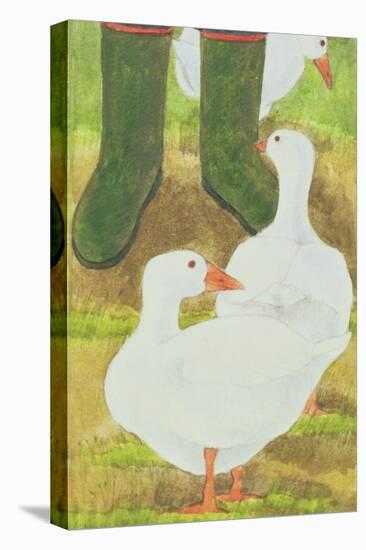 Ducks and Green Wellies-Linda Benton-Stretched Canvas