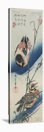 Ducks and Reeds, 1834-1839-Utagawa Hiroshige-Stretched Canvas