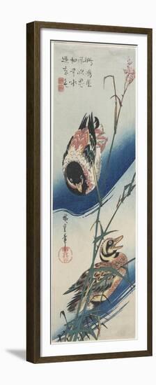 Ducks and Reeds, 1834-1839-Utagawa Hiroshige-Framed Premium Giclee Print